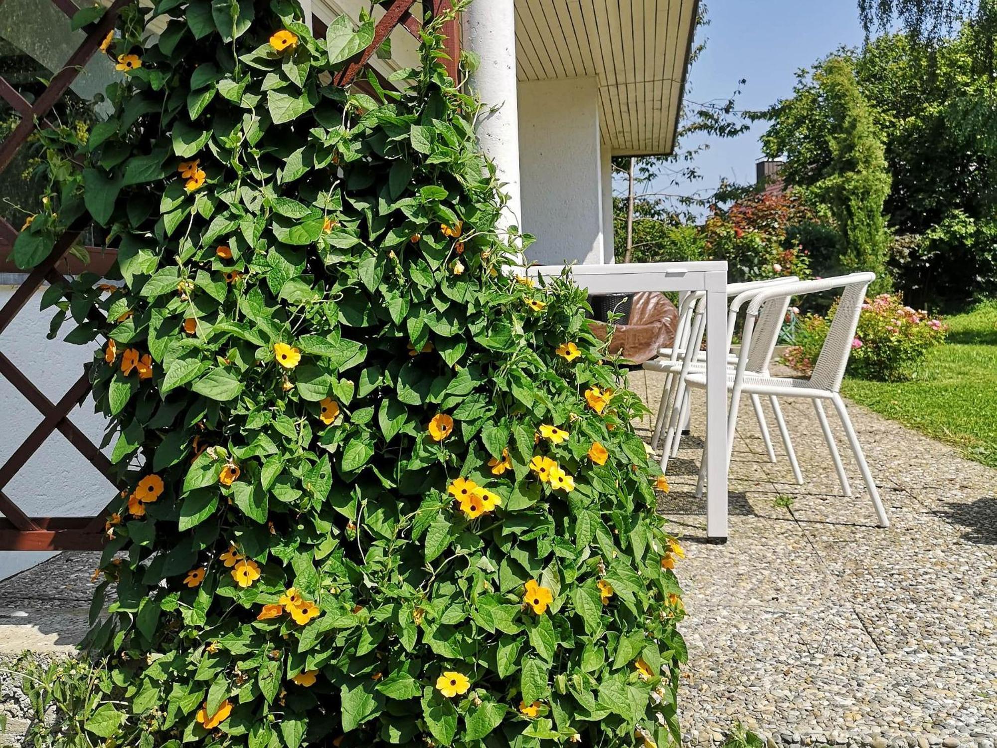 Bodensee Bungalow Именстад ам Бодензе Екстериор снимка